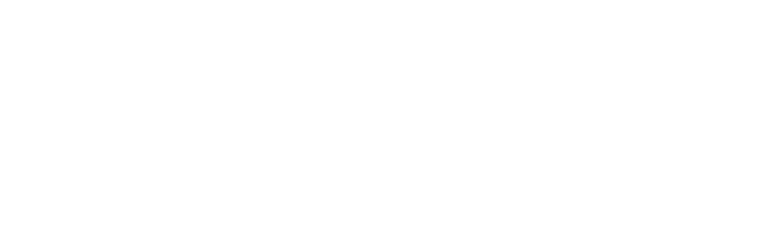 ソニックとうりふたつの姿を持つ黒きハリネズミ。世紀の天才科学者・プロフェッサージェラルドによって生みだされた究極生命体。目的のためには手段を選ばない、危ういまでの純粋さを持っている。