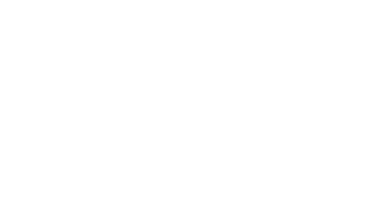 ソニックとうりふたつの姿を持つ黒きハリネズミ。世紀の天才科学者・プロフェッサージェラルドによって生みだされた究極生命体。目的のためには手段を選ばない、危ういまでの純粋さを持っている。